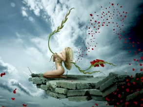 �������� �� �����